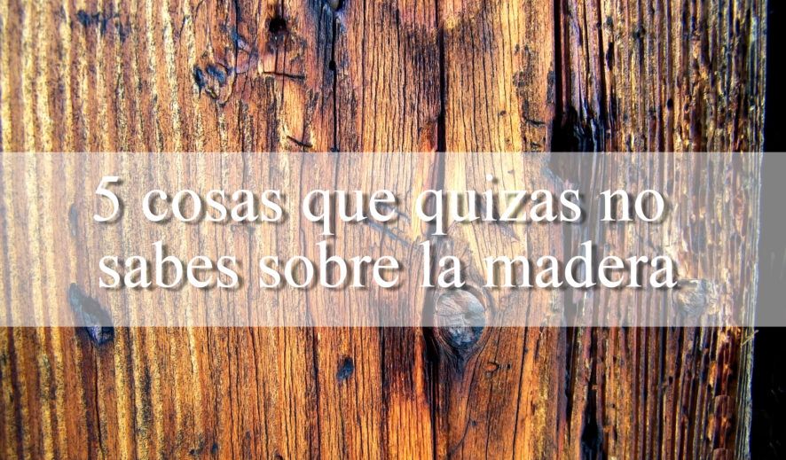 5 Pecualiaridades sobre la madera