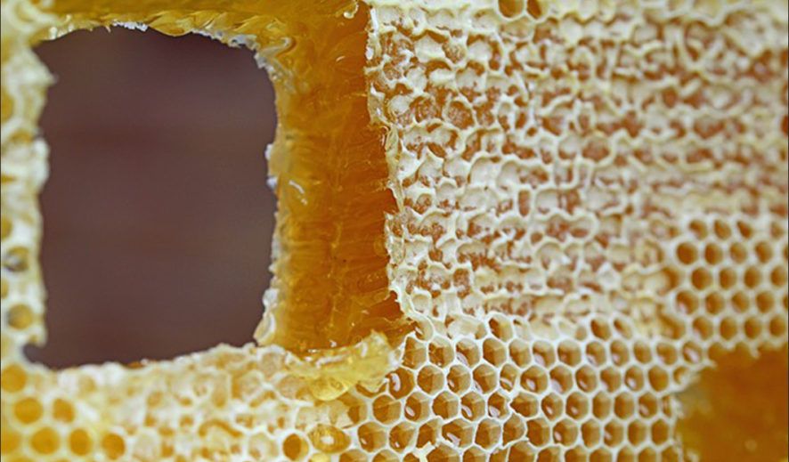 La cera de abejas. Aplicación y acabado