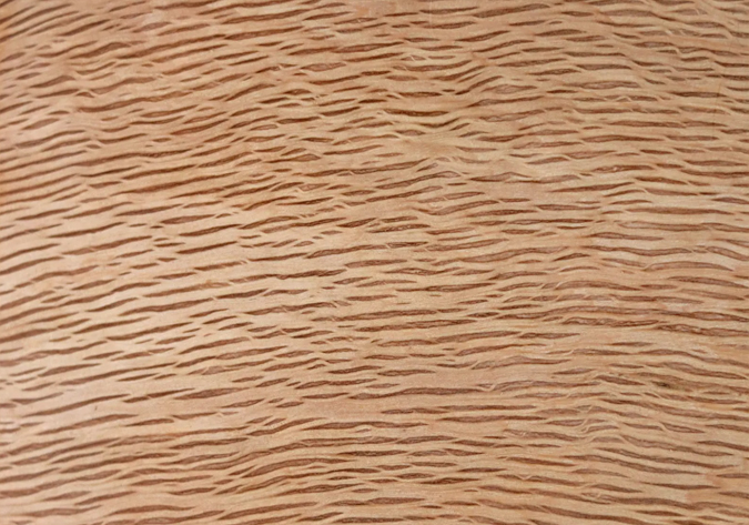 Encina