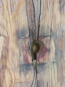 Restauración de un portón histórico de madera en el distrito Centro de Madrid